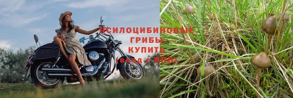 марихуана Бородино