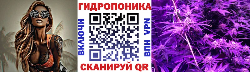Канабис семена OMG как войти Дальнегорск